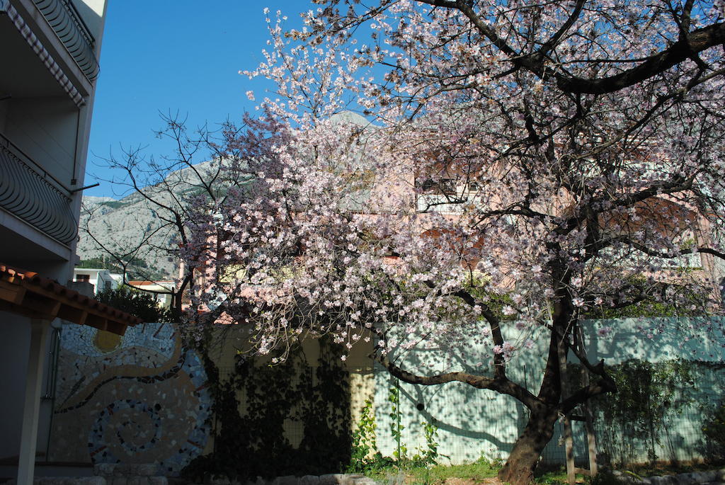 Apartments Natura Makarska Bagian luar foto